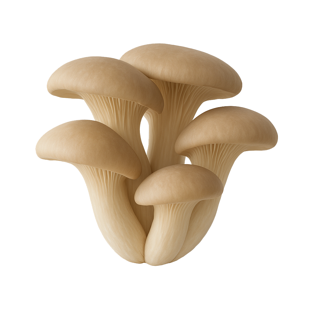 homemushroom