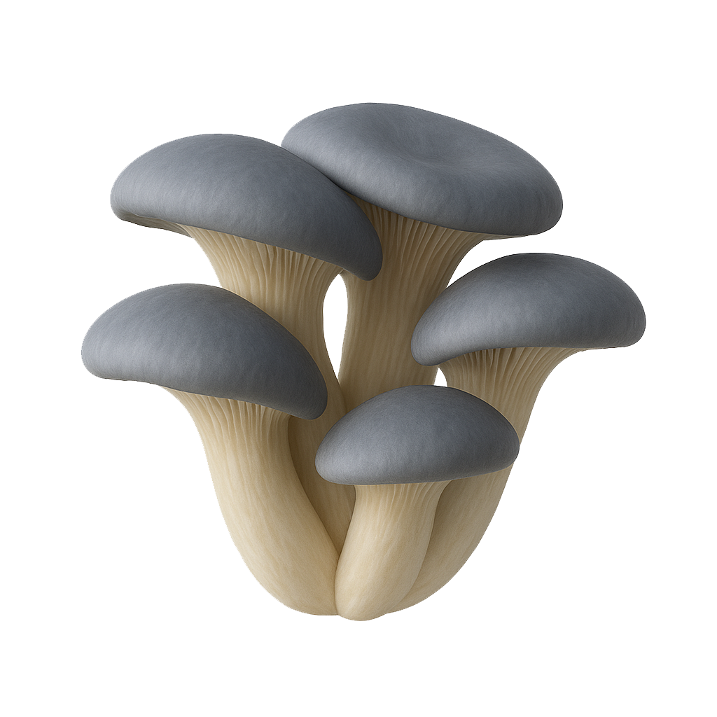 homemushroom
